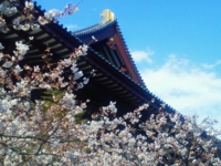 2012040515270000.jpg